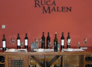 Lunch at Ruca Winery/E. Ancinas